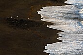 Spanien,Kanarische Inseln,Lanzarote,Casas de El Golfo,vulkanische Küste,grüne Lagune