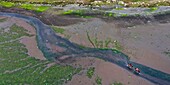 Chile, Los Lagos region, Chiloé Island, Castro District, Rilan Peninsula, San José Municipality, Tierra Chiloé hotel, riders in the estuary (aerial view)