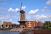 Niederlande,Südholland,Rotterdam,Delfshaven,Hafen und Windmühle