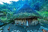 Colombia, Sierra Nevada de Santa Marta, Tayrona Park, trek of the Lost City, registered World Heritage by UNESCO, kogi family of the sanctuary's keeper