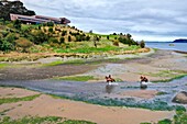 Chile,Region Los Lagos,Insel Chiloé,Bezirk Castro,Halbinsel Rilan,Gemeinde San José,Hotel Tierra Chiloé und Reiter in der Flussmündung (Luftaufnahme)