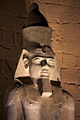 Egypt, Upper Egypt, Nile Valley, Luxor, statue of Ramses II enthroned in front of Luxor temple lit up at night