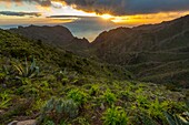 Spanien,Kanarische Inseln,Insel Teneriffa,Blick auf die Insel La Gomera von den Altos de Baracan