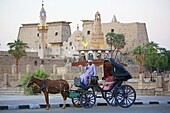 Ägypten,Oberägypten,Niltal,Luxor,Mann mit Turban trinkt Tee auf seinem Pferdewagen,der vor dem Luxor-Tempel und der Abu-Haggag-Moschee parkt