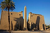 Ägypten,Oberägypten,Niltal,Luxor,Fassade des Luxor-Tempels mit den hohen Statuen von Ramses II,seinem Obelisken und einer schlanken Palme