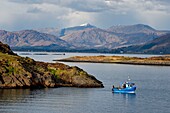 Vereinigtes Königreich,Schottland,Highland,Argyll und Bute,Oban,Fischer auf den kleinen Inseln von Loch Linnhe östlich der Isle of Mull