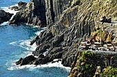 Italy, Liguria, La Spezia province, Cinque Terre National Park, listed as World Heritage by UNESCO, Riomaggiore village, A pie de Ma bar