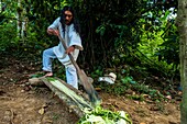 Colombia, Sierra Nevada de Santa Marta, Tayrona Park, trek of the Lost City, registered World Heritage by UNESCO, Celso wiwa guide, showing how to make ropes and a bag; from the vegertal fibers of the yucca, called maguay