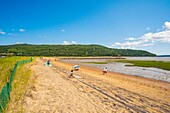 Kanada,Provinz Quebec,Region Charlevoix,Baie Saint Paul,der Strand