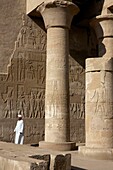 Egypt, Upper Egypt, Nile Valley, Kom Ombo, guardian temple turbaned in front of a column and a wall adorned with bas-reliefs in the temple of Kom Ombo