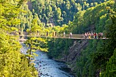 Canada, Quebec province, Beaupre, Sainte Anne Canyon dug by the Saint Anne du Nord River, and with a 74m high waterfall