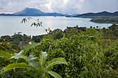 Philippines, Palawan, Malampaya Sound Protected Landscape and Seascape, view on the sound during a rainy day