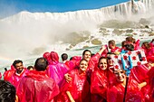 Kanada,Provinz Ontario,Niagarafälle,Hornblower Canadian Boat Trip am Fuße der amerikanischen Fälle