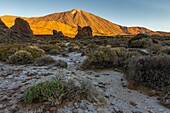 Spanien,Kanarische Inseln,Insel Teneriffa,Parque Nacional del Teide (Teide-Nationalpark),von der UNESCO zum Weltkulturerbe erklärt,Vegetation und Felsen bis zum Vulkan Teide