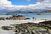 United Kingdom, Scotland, Highland, Inner Hebrides, sandy beach on Iona Island facing the Ross of Mull