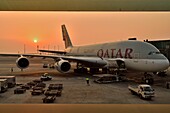 Asia, Qatar, Doha, Hamad international airport, A380 Airbus