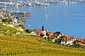 Switzerland, Canton of Vaud, Lavaux Vineyard Terraces listed as World Heritage by UNESCO, it extends from Montreux to Lausanne on 32km along Lake Geneva and 850ha, the village of Rivaz