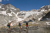 France, Hautes Alpes, massif of Oisans, national park of the Ecrins, high mountain hike to Roche Faurio, crossing of a ford on a torrent near the refuge of the glacier Blanc