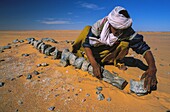 Niger,Aïr und Ténéré,Dinosauriervorkommen am Standort Gadoufaoua in der Wüste von Tenere