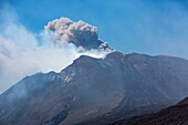 Italy, Sicily, Mount Etna Regional Nature Park, Mount Etna, UNESCO World Heritage Site, North Slope, eruption of July 27, 2019