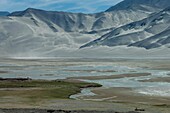 China, Xinjiang autonomous region, Bulunku pastures