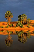 Tschad,Ennedi,Sahara,Cora-See,Depression des Mourdi,Ennedi
