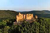 France, Bas Rhin, Parc Naturel Regional des Vosges du Nord (Northern Vosges Regional Natural Park, Lembach, Fleckenstein castle ruins dated 12th century (aerial view)