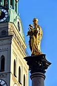 Germany, Bavaria, Munich, Marienplatz, fountain with Marian Column (Mariensäule) and St. Peter's Church (Alter Peter)