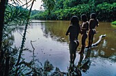 Ecuador, Orellana, Rio Cononaco, Family Fishing, the Huaorani are one of the last two tribes of hunter-gatherers living in the heart of the rainforest of Ecuador