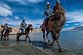 China, Xinjiang autonomous region, Pamir highlands, pastures and semi nomadic kirghize communities of lake Karakul, shepherds riding horse and camel with the Mustagh Ata 7546 m in the back