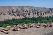 China,Autonome Region Xinjiang,Turfan oder Turpan,Tal der Weintrauben