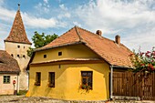 Romania, Transylvania, Sighisoara, is one of the seven Saxon fortified cities of Transylvania, classified as World Heritage by UNESCO