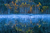 Vereinigte Staaten,Maine,Acadia National Park,Long Pond,Acadia National Park