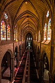 Ecuador, Quito, Basilica of the National Vow, from 19th century, of neo-gothic style, nave