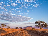 Namibia, Hardap province, Namibrand nature reserve, desert landscape