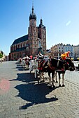 Polen,Woiwodschaft Kleinpolen,Krakau,Bezirk Stare Miasto,Weltkulturerbe,Altstadt,Basilika Unserer Lieben Frau von Krakau (XIV),Pferdekutschen