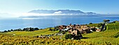 Schweiz,Kanton Waadt,Lavaux Weinberg-Terrassen,von der UNESCO zum Weltkulturerbe erklärt,erstreckt sich von Montreux bis Lausanne auf 32 km entlang des Genfer Sees und 850 ha,das Dorf Rivaz