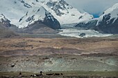 China, Xinjiang autonomous region, Pamir highlands, pastures and semi nomadic kirghize communities of lake Karakul