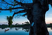 Kolumbien,Bolivar,Santa Cruz de Mompox,von der UNESCO zum Weltkulturerbe erklärt,Kanus,die den Rio Magdalena von einem Ufer zum anderen überqueren