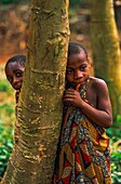 Congo, East, Lobeke, the Baka are a group of nomadic hunter-gatherers living in the forests of the Congo Basin