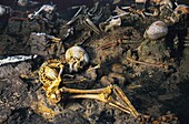 Italy, Naples, Pompei, Skeletons of Herculaneum inhabitants killed by the eruption of Vesuvius