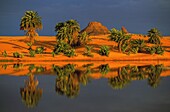 Tschad,Ennedi,Sahara,Cora-See,Depression des Mourdi,Ennedi