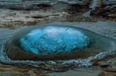 Iceland, HöfuðborgarsvÊðið, Strokkur Geyser