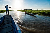 Colombia, Magdalena, pirogue trip on the Rio Magdalena to the great swamp, or Ciénaga, of Pijiño, progression in a channel of open water, obstacle watchman at the bow