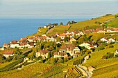 Switzerland, Canton of Vaud, Lavaux Vineyard Terraces listed as World Heritage by UNESCO, it extends from Montreux to Lausanne on 32km along Lake Geneva and 850ha, the village of Rivaz