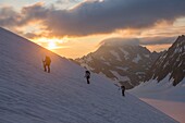 Frankreich,Hautes Alpes,Oisans-Massiv,Nationalpark der Ecrins,Hochgebirgswanderung am Roche Faurio,Cordée in der Morgendämmerung auf dem Glacier Blanc