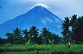 Indonesien,Zentral-Java,Vulkan Merapi