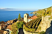 Switzerland, Canton of Vaud, Lavaux Vineyard Terraces listed as World Heritage by UNESCO, it extends from Montreux to Lausanne on 32km along Lake Geneva and 850ha, the village of Saint Saphorin