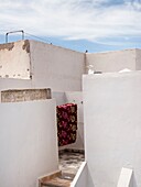 Morocco, Essaouira, Story :  Total renovation of a vintage spirit riad 