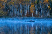 Vereinigte Staaten,Maine,Acadia National Park,Herbst im Acadia National Park